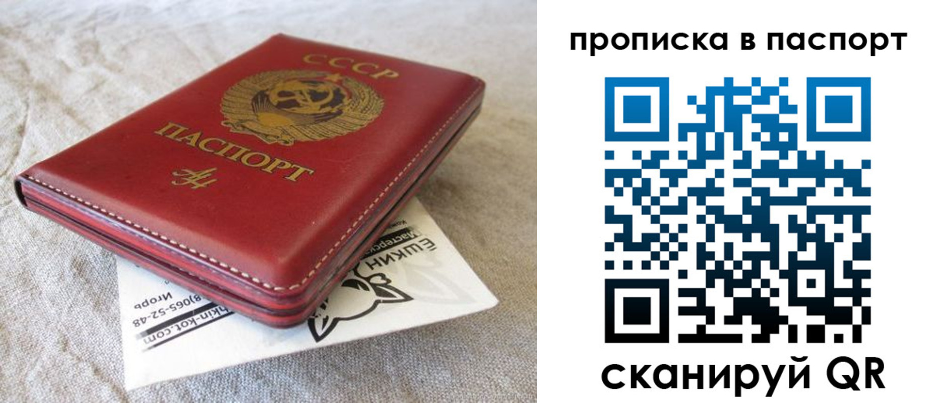 прописка штамп в Ржеве